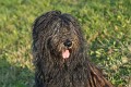 image_29__DSC0027